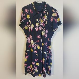 Banana Republic Floral Dress